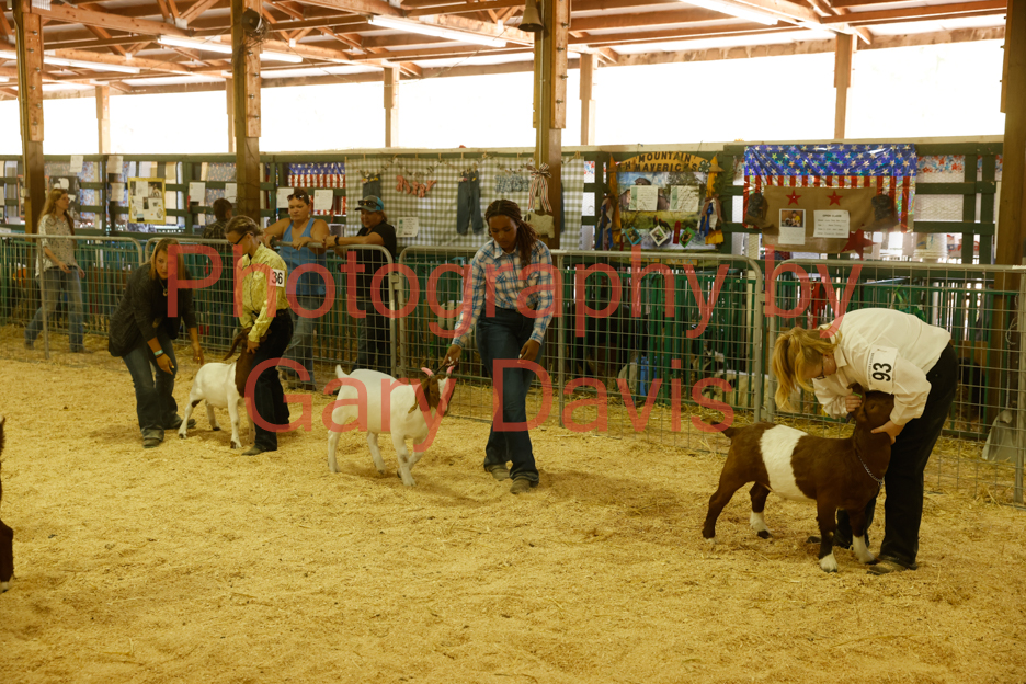 _MG_0263 (2)